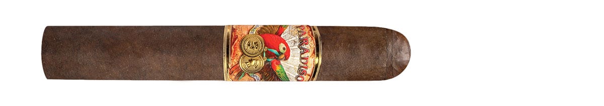 Paradiso Classic Clasico (Robusto) 5