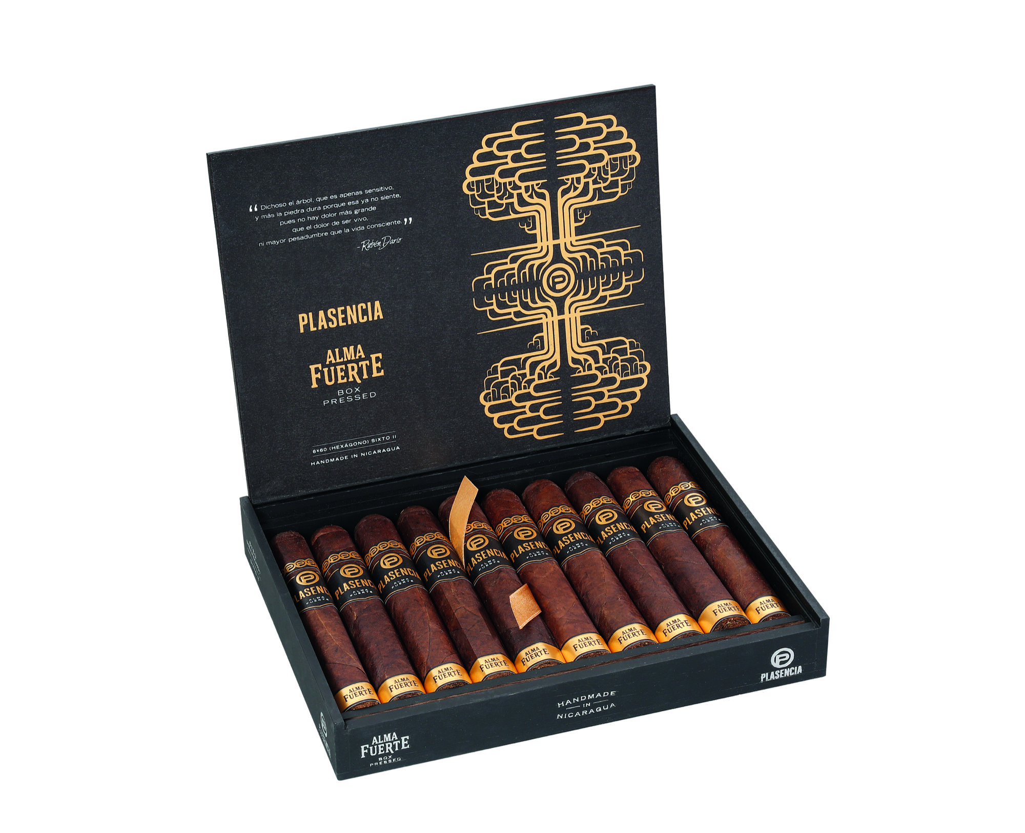 Plasencia Alma Fuerte Sixto II Hexagono Gordo 2
