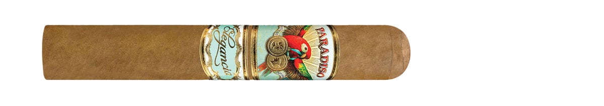 Paradiso Elegancia Robusto 6
