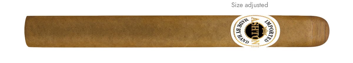 Ashton Classic Churchill 6